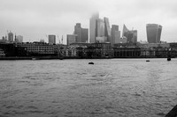 DSC_1849