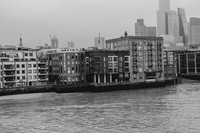 DSC_1855
