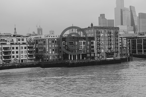 DSC_1855