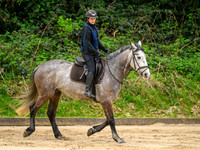 _DSC8124
