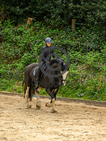 _DSC8335