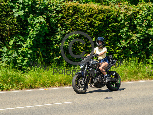 _DSC1167