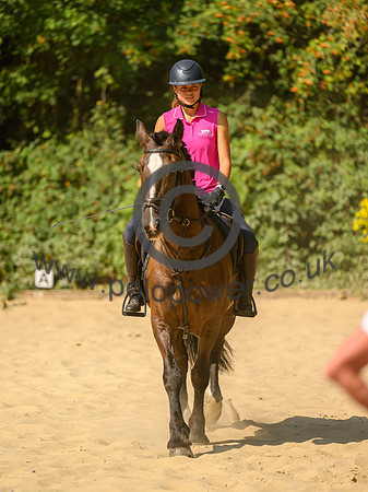 _DSC2329
