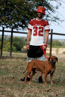 Dogs