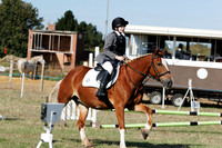 Showjumping